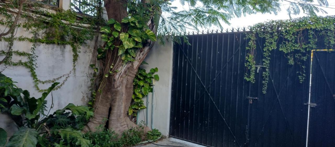 Estudio Zona Centro Cerca De La Terminal Ado Cancún Eksteriør bilde
