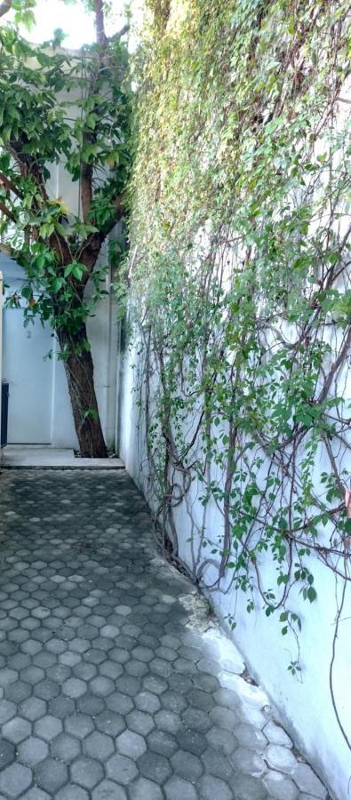 Estudio Zona Centro Cerca De La Terminal Ado Cancún Eksteriør bilde